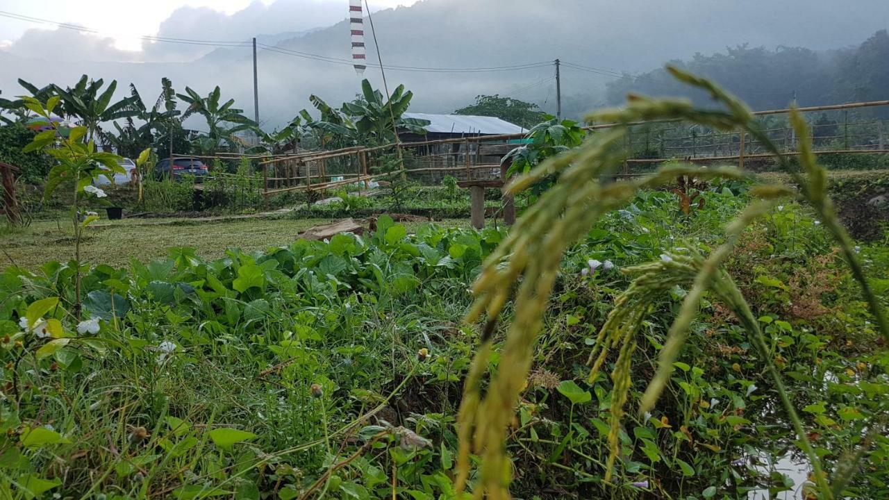 ฮ้างนาตาจันทร์ Villa Pua Luaran gambar