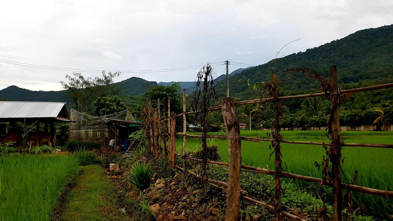 ฮ้างนาตาจันทร์ Villa Pua Luaran gambar