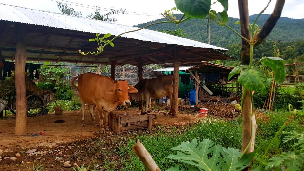 ฮ้างนาตาจันทร์ Villa Pua Luaran gambar